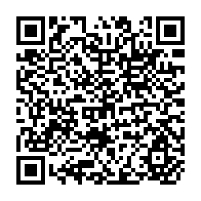 QR Code for Haciendas,Plantations and collective farms