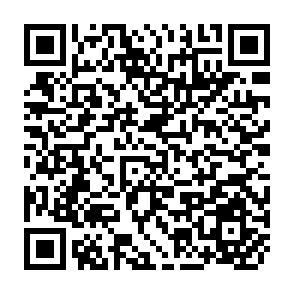 QR Code for Policy and Practice in Rural Development