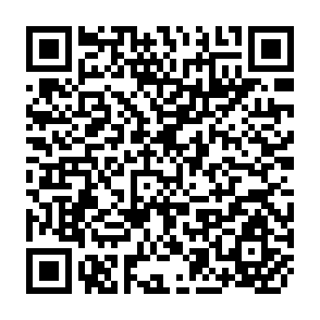 QR Code for Policy and Practice in Rural Development