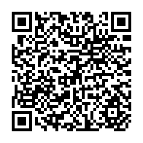 QR Code for Lives of Labour