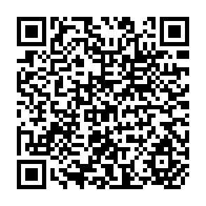 QR Code for Statistical Needs for Development