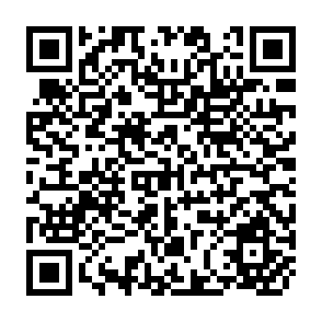 QR Code for Report papers of The Expert Group Meeting on the Translation of Population Materials (Bangkok,8-12 December 1975