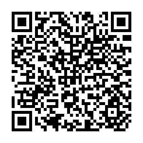 QR Code for International Bank for Reconstruction and Development