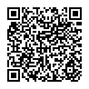 QR Code for Alternatives in Development