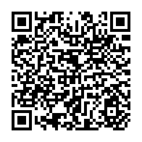 QR Code for China's land problem series