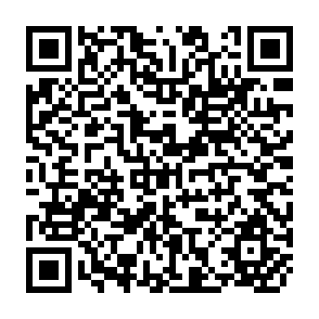QR Code for The Economic Growth Controversy
