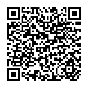 QR Code for Labour Force Estimates and Projections 1950-2000