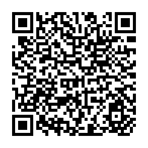 QR Code for Income Distribution And Employment Programme : Incidence of Central Government Expenditures in India