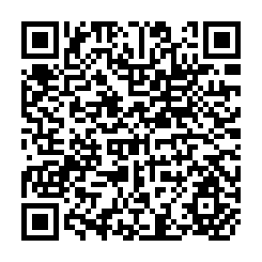 QR Code for Income Distribution and Employment Programme : Taxation, Government Spending and Income Distribution in the Philippines