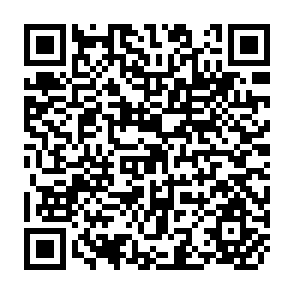 QR Code for Income Distribution and Employment Programme - Industrialisation and Income Distribution in Hong Kong 1961-1971