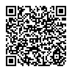 QR Code for Income Distribution and Employment Pragramme: Taxes and Income: Distribution of Tax Burdens in Iran