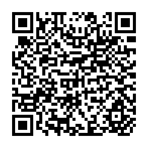 QR Code for The Development of Manufacturing Industries in Ghana and the Government's Role in it