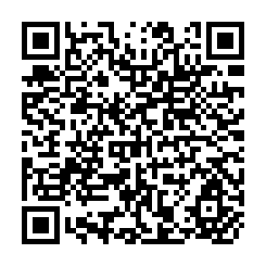 QR Code for Income Distribution and Employment Programme : Intersectoral Terms of Trade and Transfer of Resources From Agriculture to Non - Agricultural Activities: The Case of Egypt