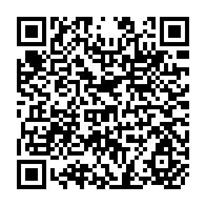 QR Code for Income Distribution and Employment Programme - Inequality and Basic Needs in Swaziland