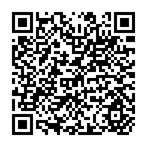 QR Code for Income Distribution and Employment Programme - A Monetary Will-O'- the Wisp: Pursuit of Equity Through Deficit Spending - Part ii
