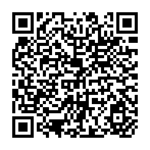 QR Code for A Planning Model Incorporative Technological Choices and Non- Homogeneous Supplies of Labour ( Technology and Employment Programme)