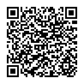 QR Code for Organisation, Consumer Time and Technology in Services