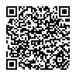 QR Code for The Impact Of Multinational Firms on Employment and Incomes in the Developing Countries ( Methodological note)