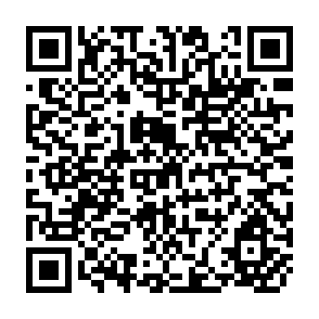 QR Code for The Impact of Transnational Enterprises on Employment in the Developing Countries Preliminary Results