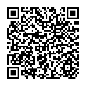 QR Code for The Impact of Transnational Enterprises on Employment and Income: The Case of Argentina