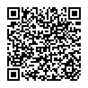 QR Code for The Impact of Multinational Enterprises on Employment and Income Jamaica Preliminary Report
