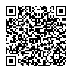 QR Code for The Impact of Multinational Firms on Employment and Income: The Case Study of South Korea