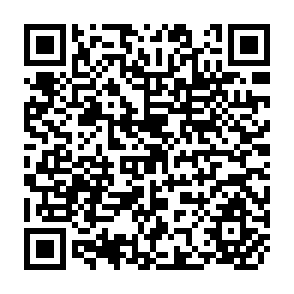 QR Code for An Analysis of Fertility Differentials in Developing Countries