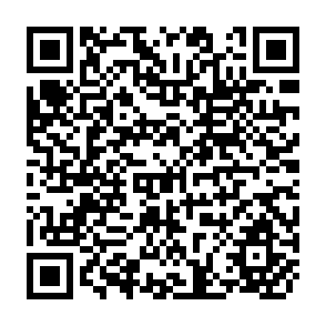 QR Code for Employment Structure, Income Distribution and Internal Migration in Brazil
