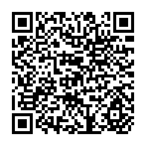 QR Code for The Effects of Household Size, Structure and Income on Expenditure Patterns