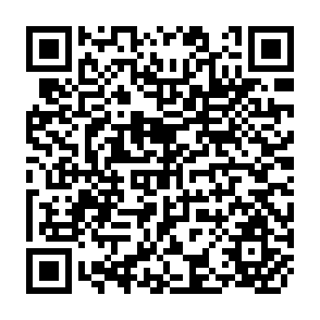 QR Code for World Employment Programme- Population and Employment Project