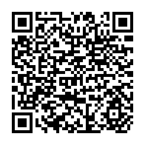 QR Code for Effects of Household Structure, Size and Household Income on Expenditure Patterns