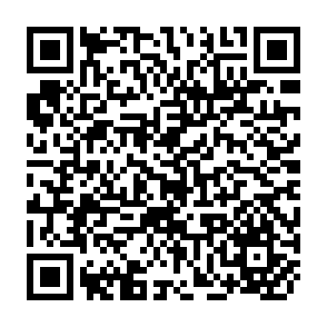 QR Code for World employment programme research