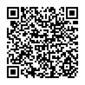 QR Code for The Education and Employment of Children: A Comparative Study of San Salvador and Khartoum