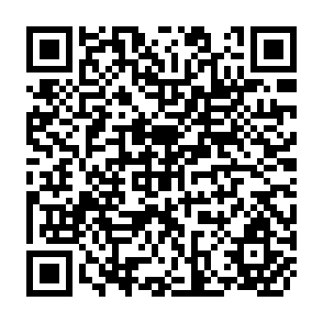 QR Code for Demographic Effects on Tax Shares During Economic Development