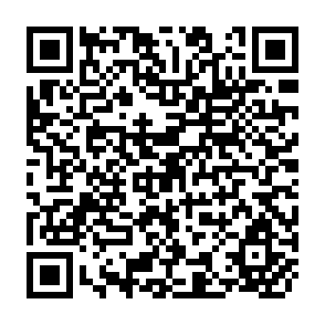 QR Code for Bachue-Brazil-National Version A Demo-Economic Model