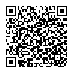 QR Code for Demography and Distribution