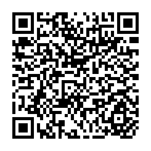 QR Code for Sri Lanka Key Developmet Issues in the 1980s