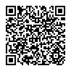QR Code for Dynamic models of agricultural development with demand linkages