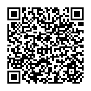 QR Code for Government Organisation and Economic Development