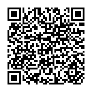 QR Code for The Economics of Poverty