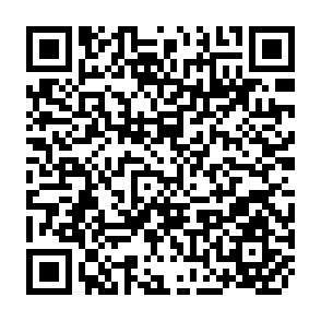 QR Code for The Flow of Financial Resources to less- Develoed Countries 1956-1963