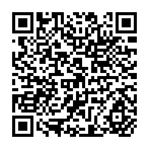 QR Code for Development Assistance