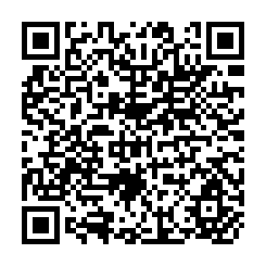 QR Code for The Flow of Financial Resources to less- develeoped countries 1961-1965