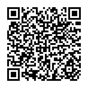QR Code for Institutional Credit System in India: Regional Variations And Loan Policy And Procedural Arrangements A Case Study