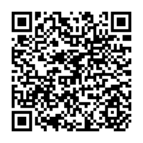 QR Code for Economic Constraints on Agricultural Technology Adoption in Developing Nation