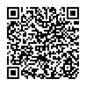 QR Code for Unemployment and Underemployment in Rural Sectors of the Less Developed Countries -A Bibiliography