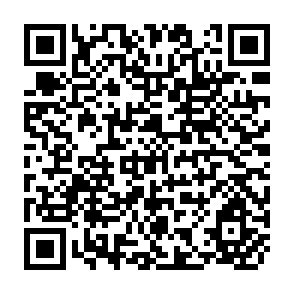 QR Code for The Technical-Material Basis of Romanian Agriculture