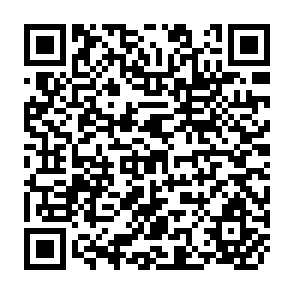 QR Code for Recent Testimony to Congressional Committees on World Food Problems and Food AID