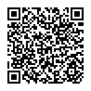 QR Code for Production and Marketing Pattern of Paddy