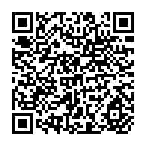 QR Code for Peripheral Accumulation, Labour Power Absorption and Relative Surplus- Population